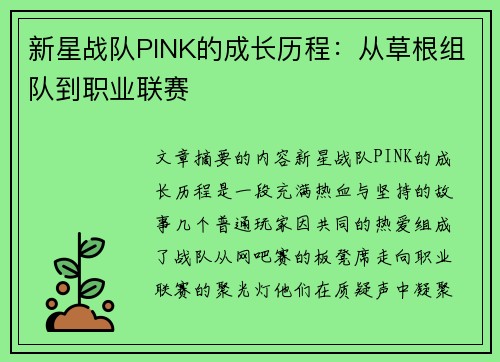 新星战队PINK的成长历程：从草根组队到职业联赛